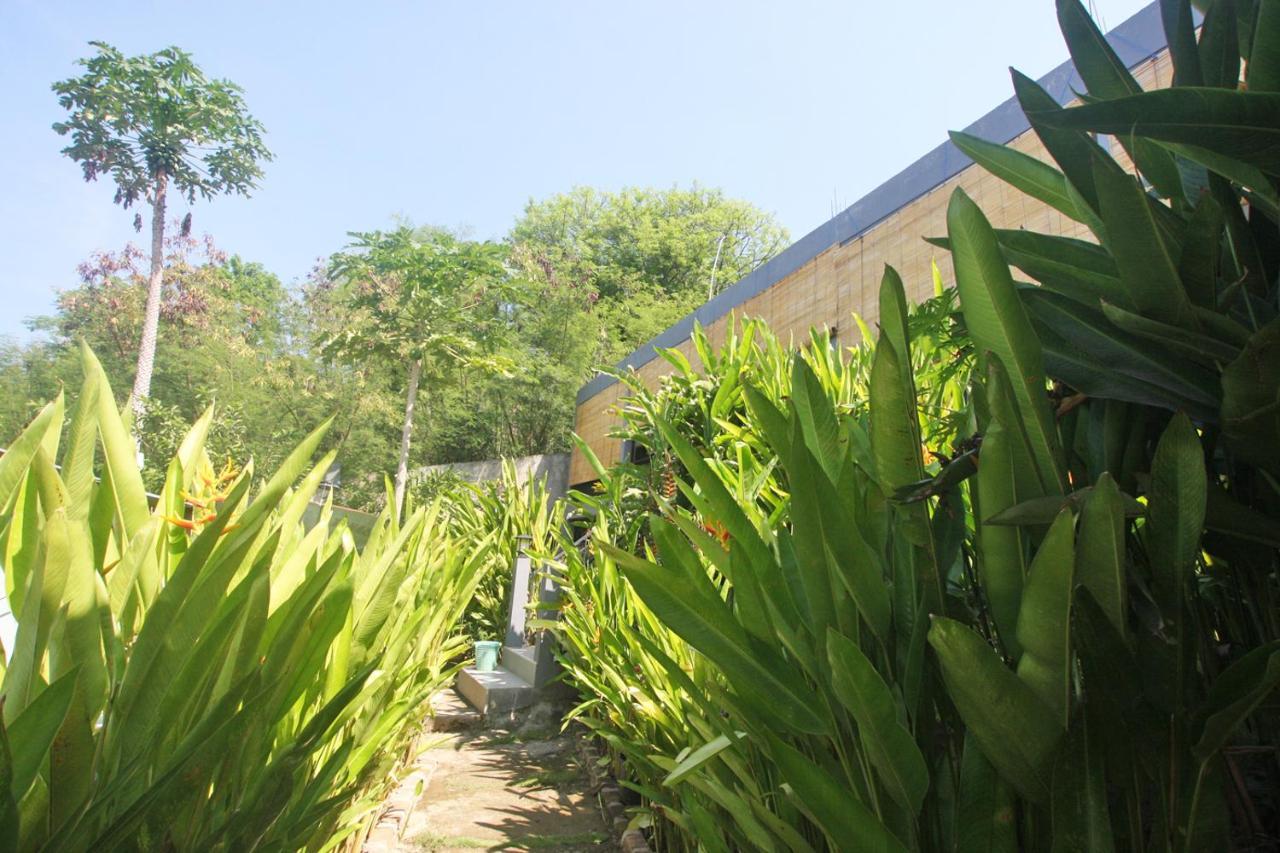 לבואן באג'ו Manta Manta Guesthouse מראה חיצוני תמונה
